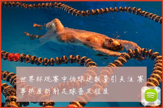 世界杯观赛中伪球迷数量引关注 赛事热度折射足球普及程度