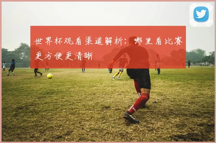 世界杯观看渠道解析：哪里看比赛更方便更清晰